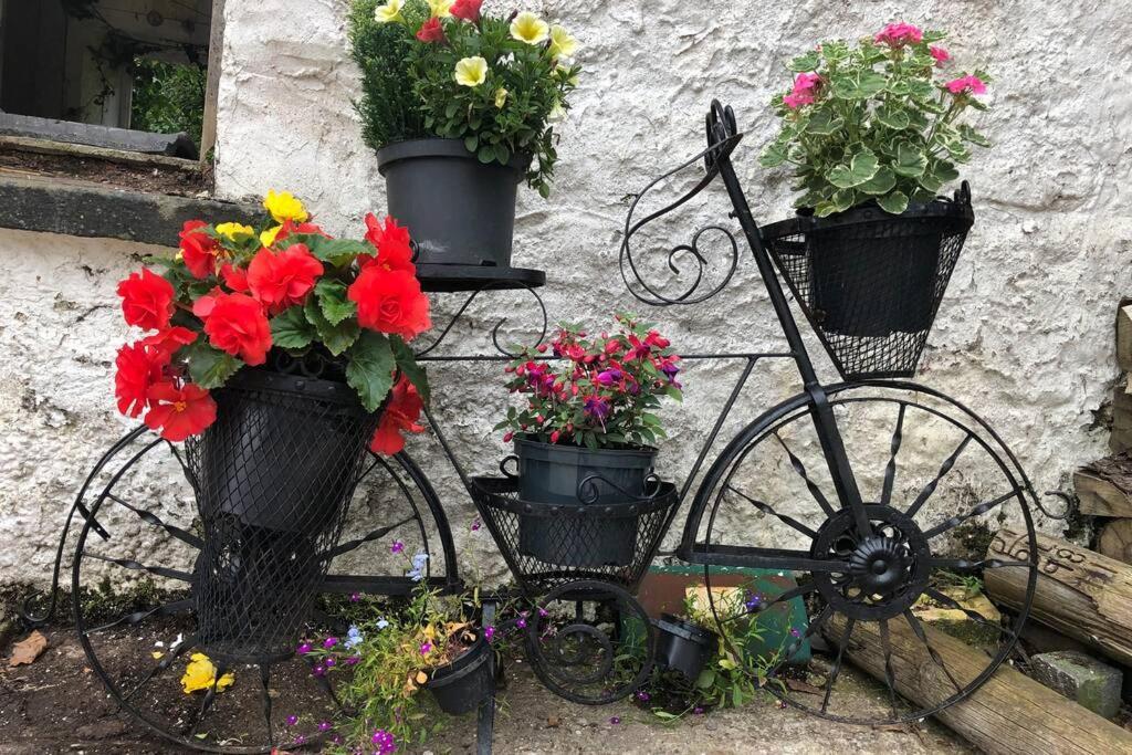 Rhubarb Cottage Enniskillen Dış mekan fotoğraf