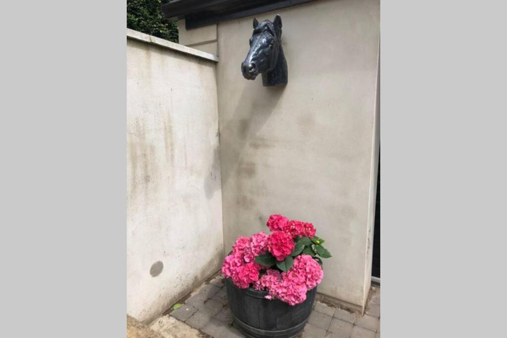 Rhubarb Cottage Enniskillen Dış mekan fotoğraf