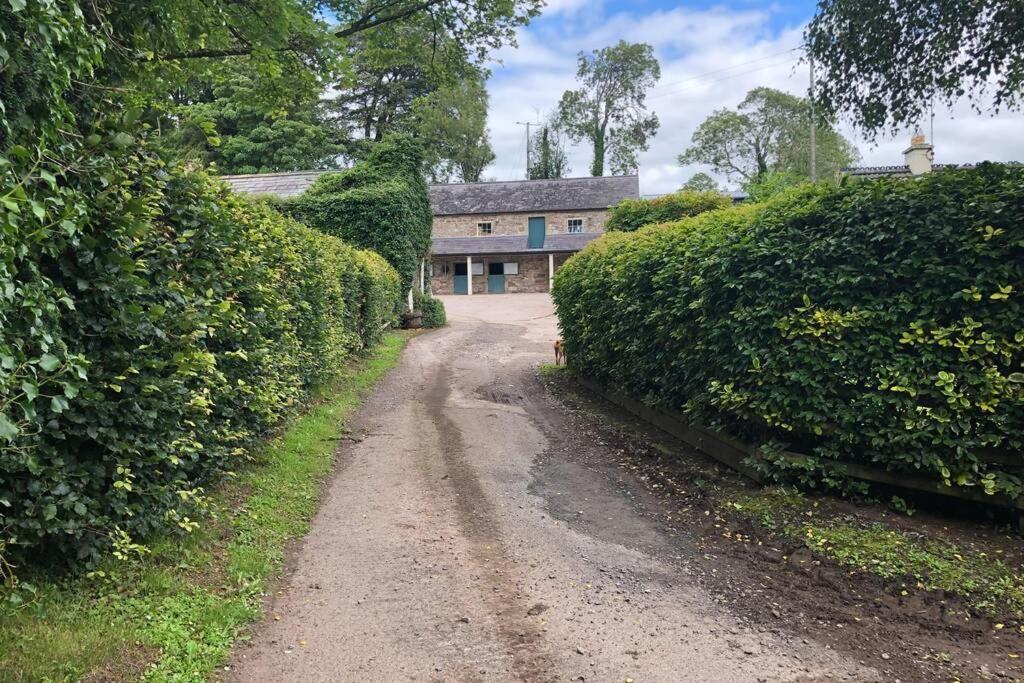 Rhubarb Cottage Enniskillen Dış mekan fotoğraf