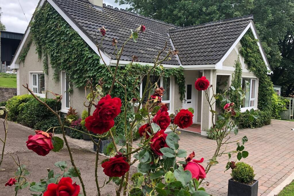 Rhubarb Cottage Enniskillen Dış mekan fotoğraf
