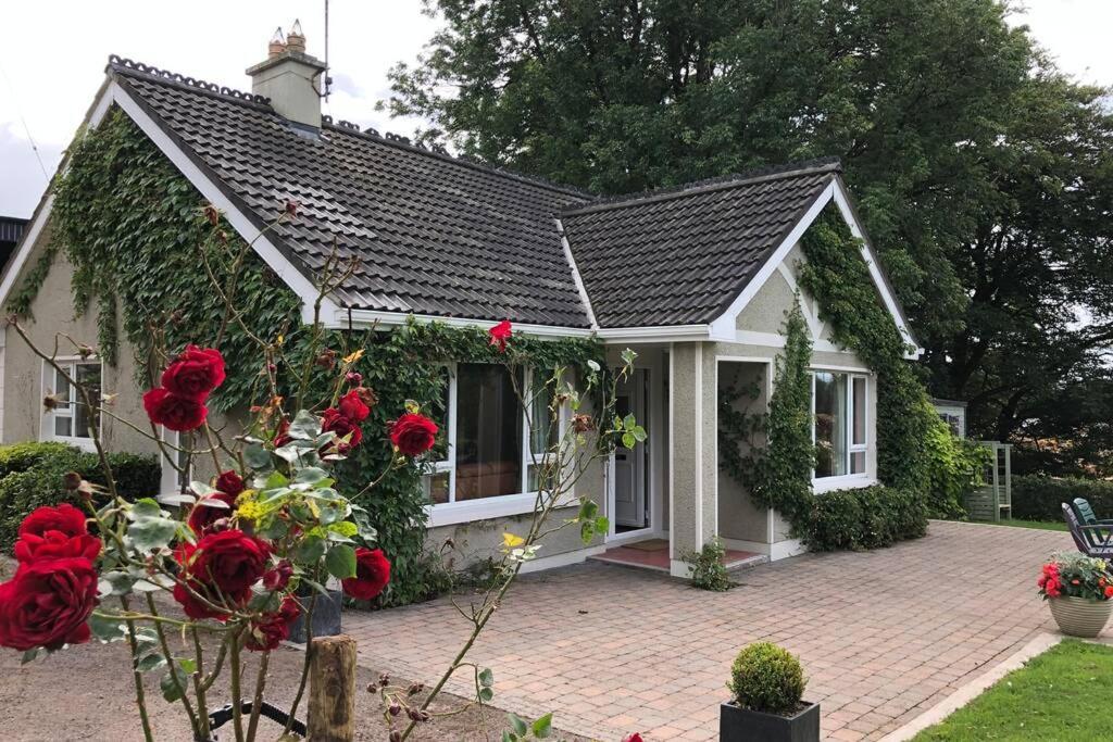 Rhubarb Cottage Enniskillen Dış mekan fotoğraf